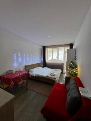 Apartment in Bakuriani